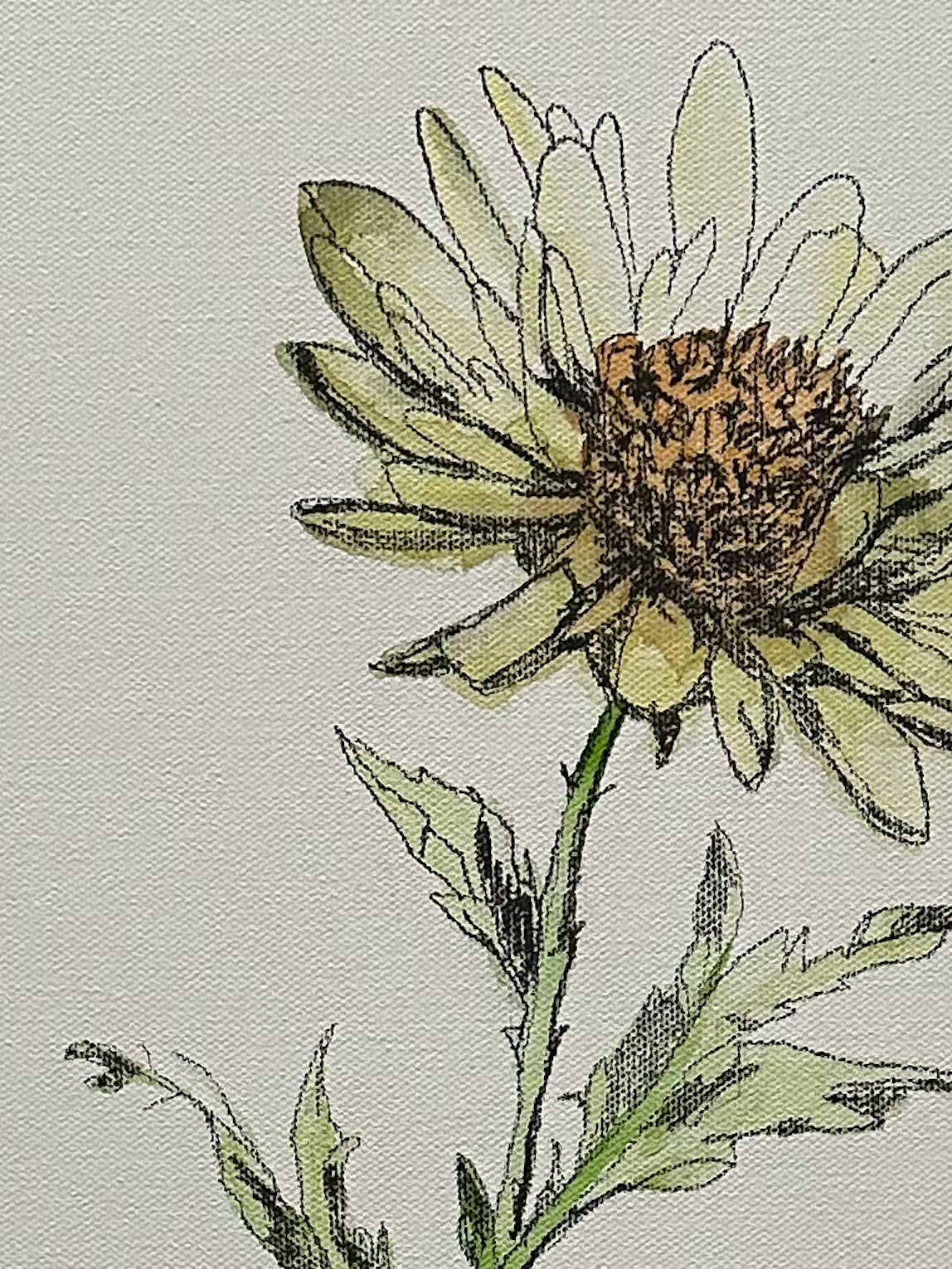 Detail