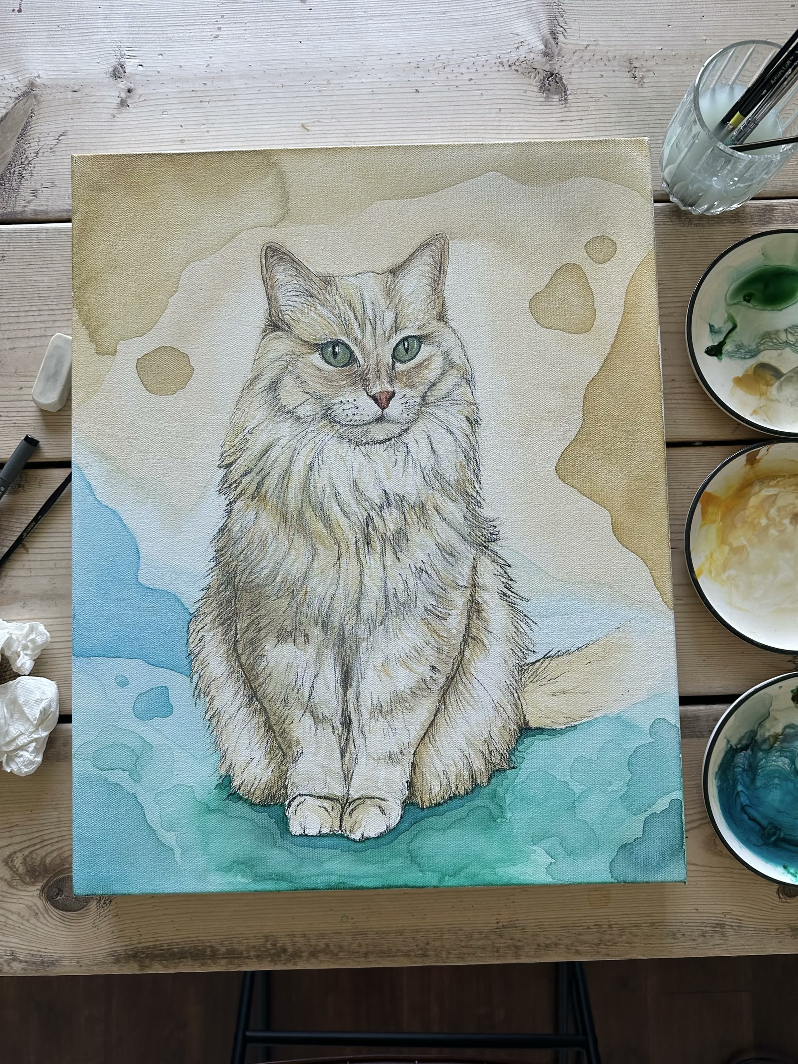 Colour brought into the coat and the eyes